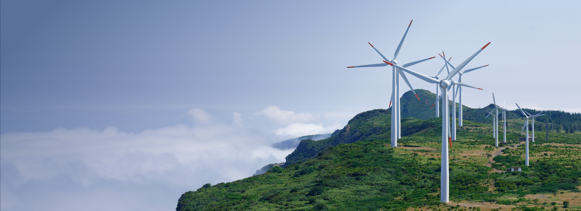 Create a low-carbon, green